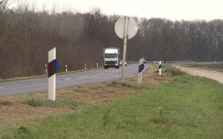 Csökkent a vadgázolások száma