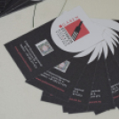 10. Országos könyvtári napok (Fotó: Horváth Attila)