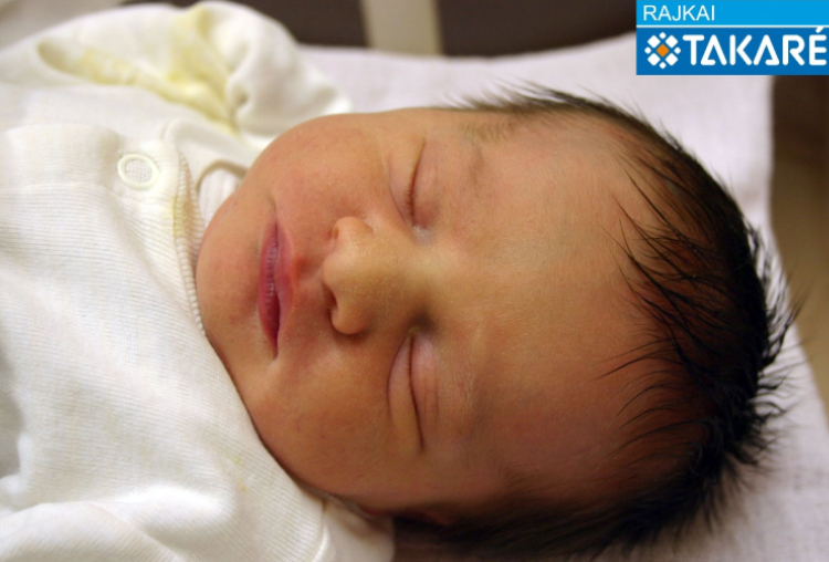 Szédely Sára Ilona, Mosonmagyaróvár