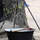 Voluta 2 nap (Fotó: Stipkovits Veronika és Bánhegyi István)