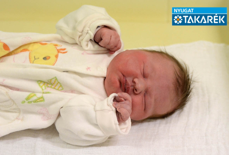 Kampf Elizabet, Mosonmagyaróvár