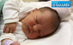 Horváth Zsófia Sarolta, Mosonmagyaróvár