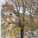 Óvár 200 - Centenáriumi megemlékezés és koszorúzás