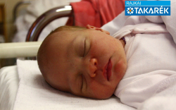 Ruzsa Luca, Mosonmagyaróvár