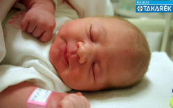 Frank Zsófia Romána, Kimle