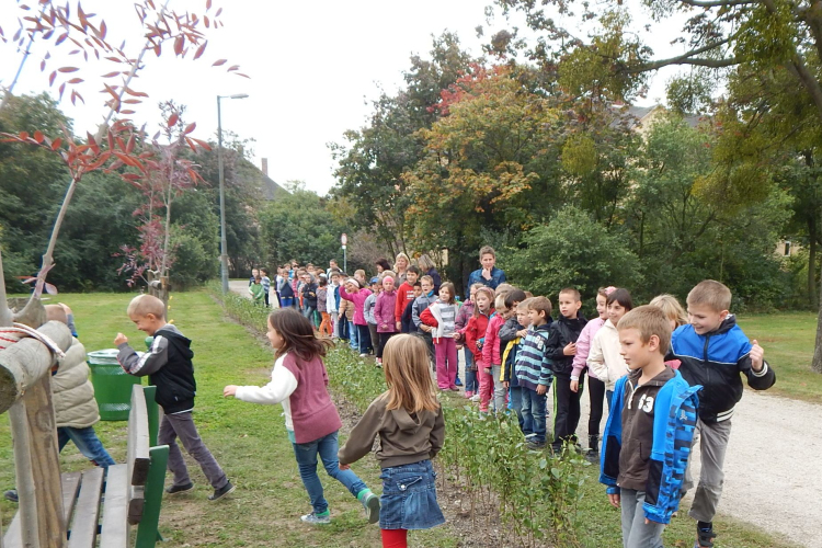 Labirintus és kilátó avatás Mosonmagyaróváron