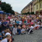 VI. Apró kezek, Csodakertek Gyermek Kertépítő verseny (Fotó: Bánhegyi István)