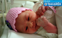 Nyerges Nóra, Csorna