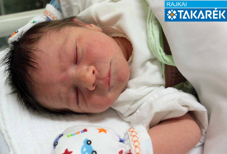 Kovács Nikolász, Mosonmagyaróvár