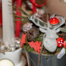 MIKULÁS - NAP (fotó: Horváth Attila)