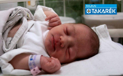 Sipos Dorina, Máriakálnok