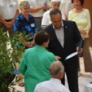 Legszebb konyhakertek (Fotó: Nagy Mária)