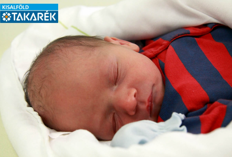 Erdős Trisztán, Hédervár