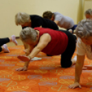 10. Országos könyvtári napok (Fotó: Horváth Attila)