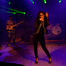 Szigetköz ízei, Vármegye borai Fesztivál (vasárnap) (Fotó: Horváth Attila)