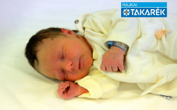 Buzás Anna, Mezőlak