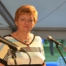 VÁROSKÖZPONTIAK NAPJA 2016, 1 nap (Fotó: Bánhegyi István)