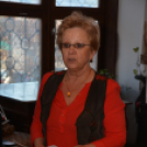 Kultúra napja a Cselley házban (Fotó: Nagy Mária)