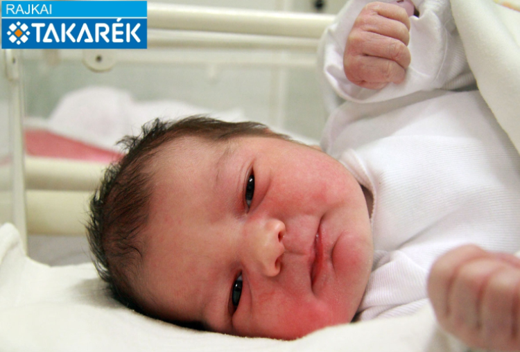 Hegyi Szofi, Kapuvár