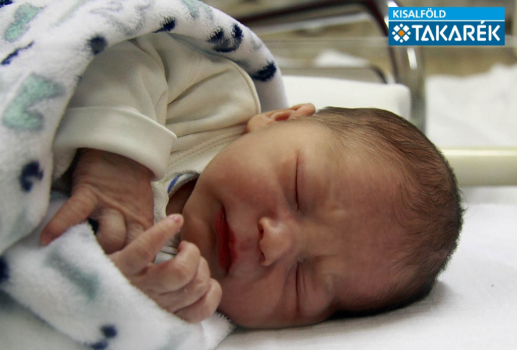 Balla Márk, Mosonmagyaróvár