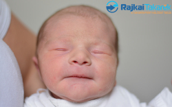 Földes Kornél, 2820 gr. Jánossomorja