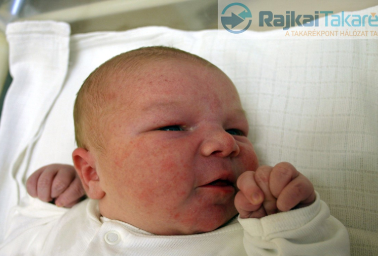 Zierer Botond Edmond, Mosonmagyaróvár