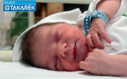 Márkus Ronell, Mosonmagyaróvár