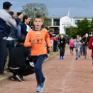 XIV. Greiner Szigetköz Félmaraton