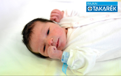 Liszkai Dóra, Dunasziget