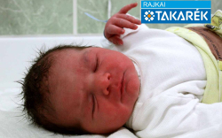 Varga Ádám Sándor, Kisbodak