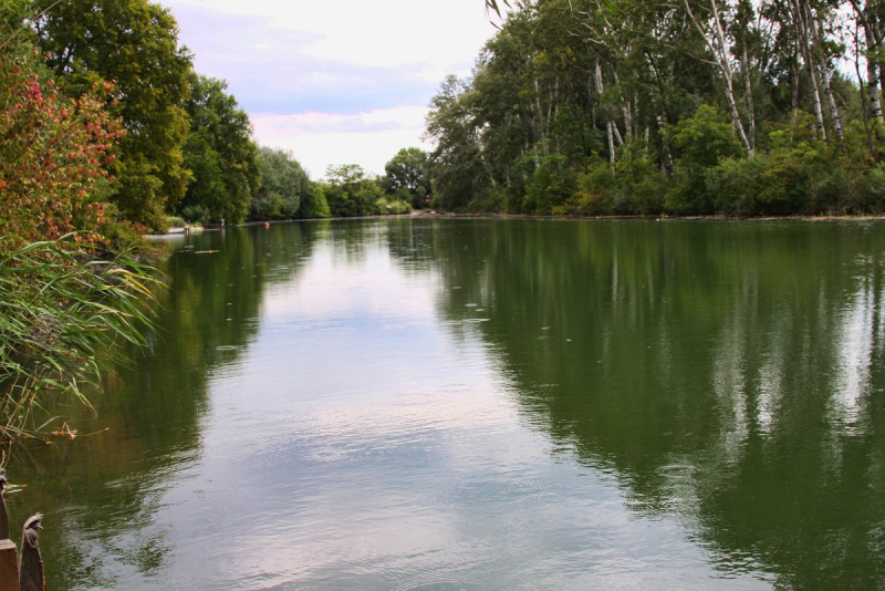 Szigetköz Lelke Pálinkaház