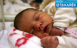 Andorka Léna, Bősárkány