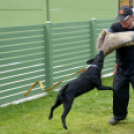 Pillangó Óvoda gyermeknap 2