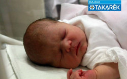 Németh Nóra Emília, Farád