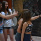 Nyárcsalogató (Fotó: Nagy Mária)