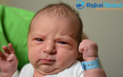 Turbók Dominik, 3800 gr. Mosonmagyaróvár