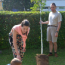 Mosonmagyaróvári Kézilabda SE faültetés (Fotó: Bánhegyi István)