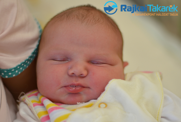 Gősi Zsófia, Tárnokréti