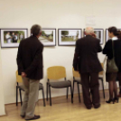 Üzennek a kövek - Dokumentum fotókiállítás megnyitó ünnepsége