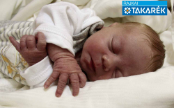 Tóth-Bodó Harald, Darnózseli