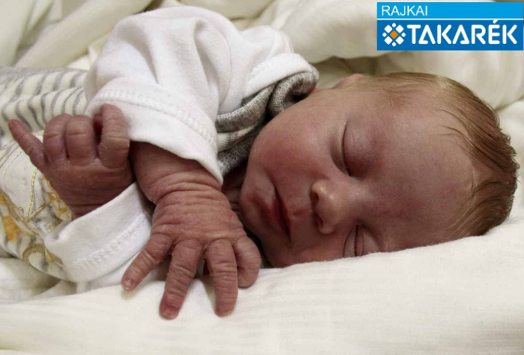 Tóth-Bodó Harald, Darnózseli