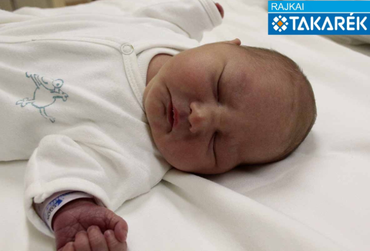 Pormüller Dorka, Mosonmagyaróvár