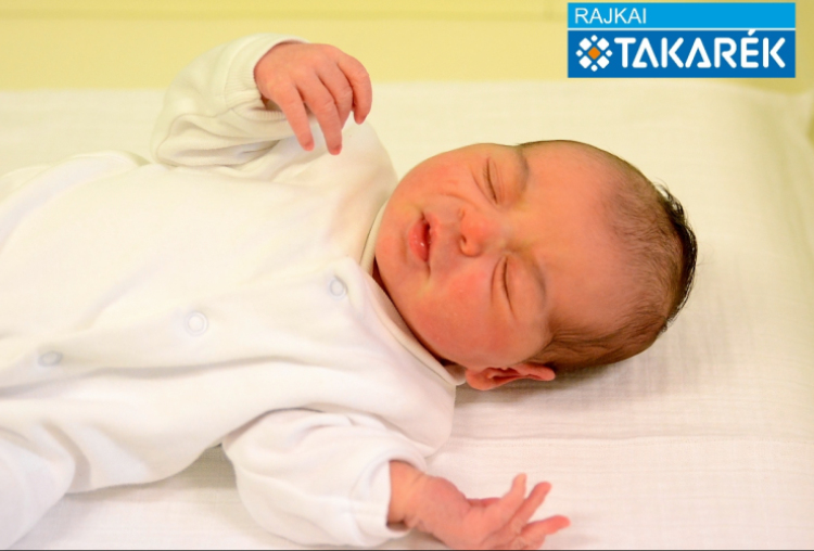 Dubi Jázmin, Halászi