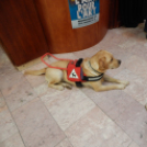 Elfogadás Napja 2014