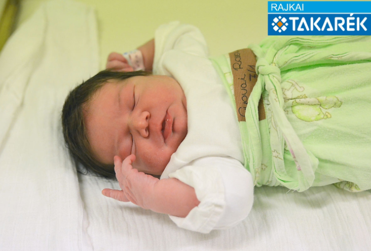 Gyovai Rozi, Bősárkány