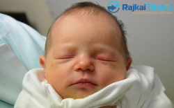 Csákó Florentina, 3430 gr. Levél