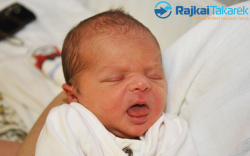 Zsirai Dániel, 3460 gr. Mosonmagyaróvár