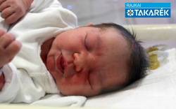 Porubcsánszki Cintia, Halászi