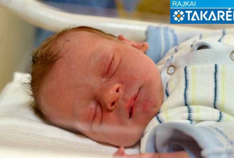 Dudás Gergő, Várbalog