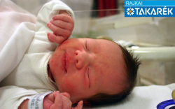 Kiss Nándor Béla, Mosonmagyaróvár